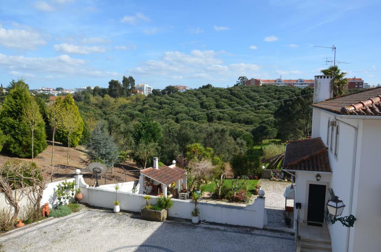 Casa Da Palmeira Лейрия Экстерьер фото